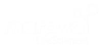 MARAVAI LIFESCIENCES HOLDINGS, INC. Logo